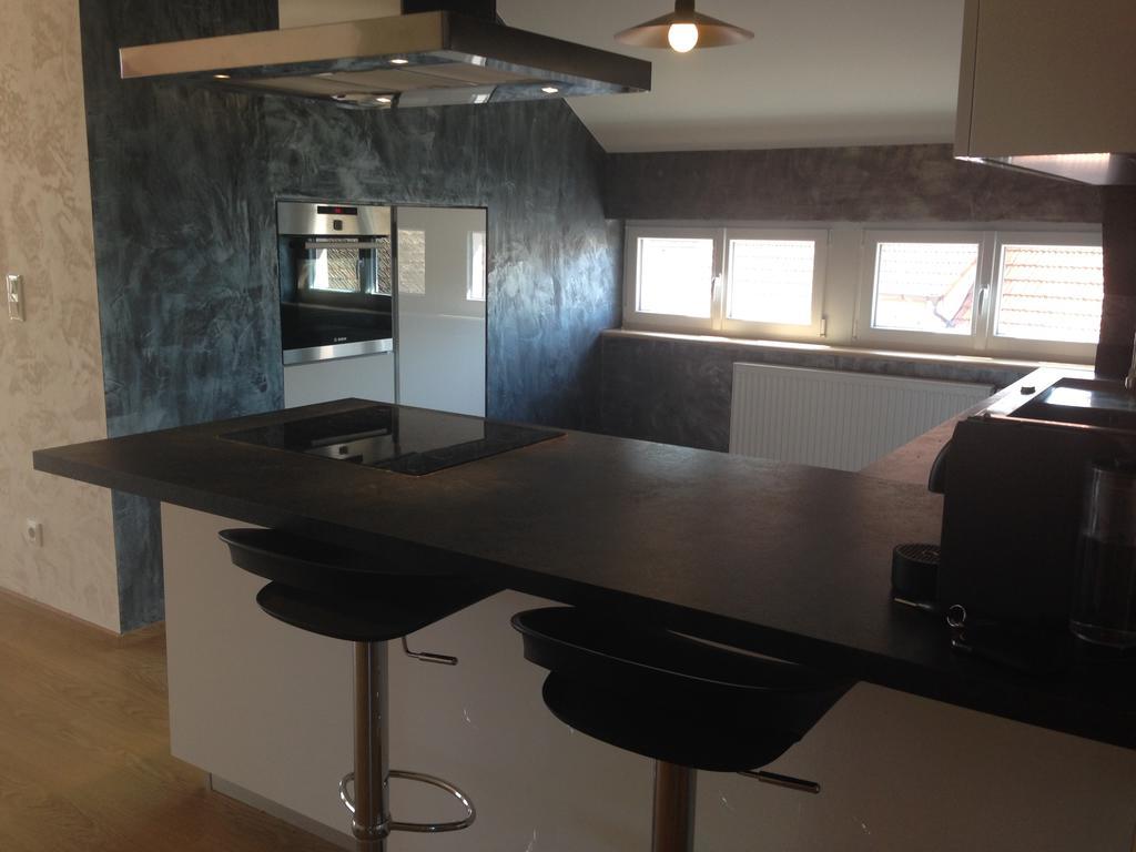 Ferienwohnung Meubles De Tourisme Heidelbeere Dambach Exterior foto