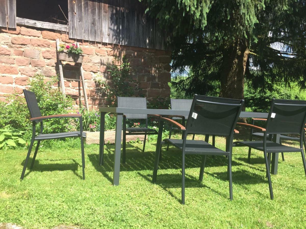 Ferienwohnung Meubles De Tourisme Heidelbeere Dambach Exterior foto