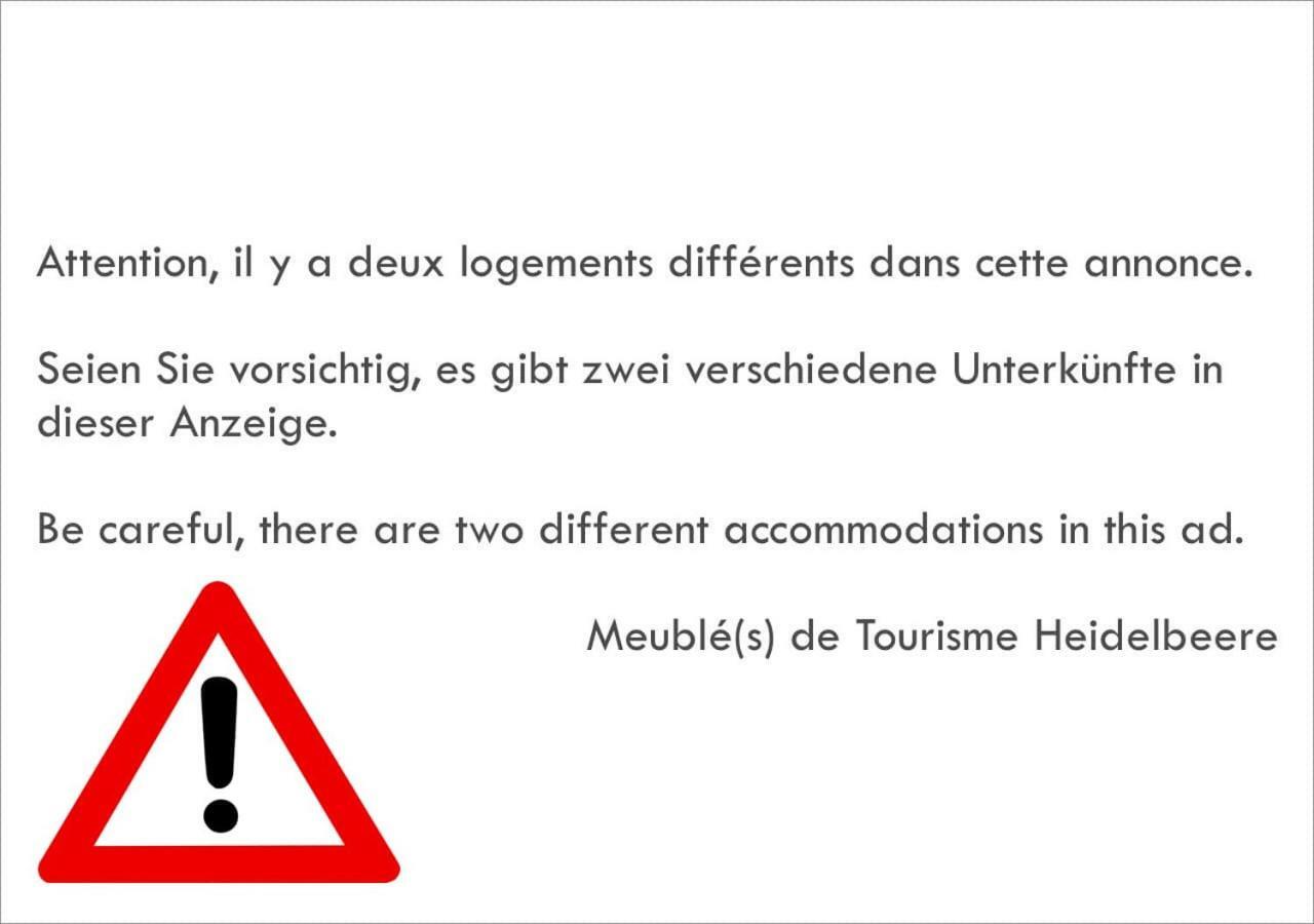 Ferienwohnung Meubles De Tourisme Heidelbeere Dambach Exterior foto